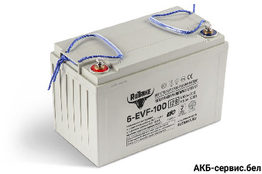 Тяговый аккумулятор RuTrike 6-EVF-100