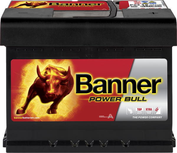 Banner Power Bull P62 19