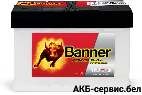 Banner Power Bull PROfessional PRO P84 40