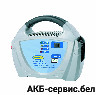 Зарядное устройство Ring RECB208