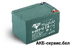 Тяговый аккумулятор RuTrike 6-DZF-12