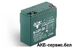 Тяговый аккумулятор RuTrike 6-DZF-20