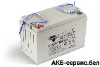Тяговый аккумулятор RuTrike 6-EVF-100