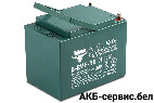 Тяговый аккумулятор RuTrike 6-EVF-55